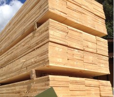 SOFTWOOD FOR CONSTRUCTION