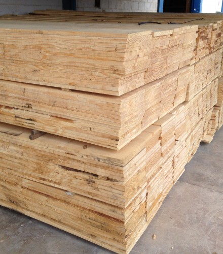 pinus para construção