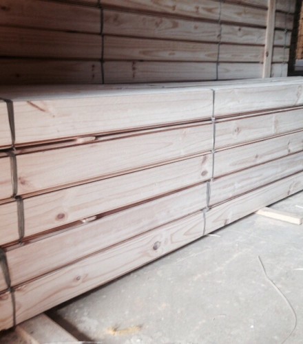 forro de pinus Lignum